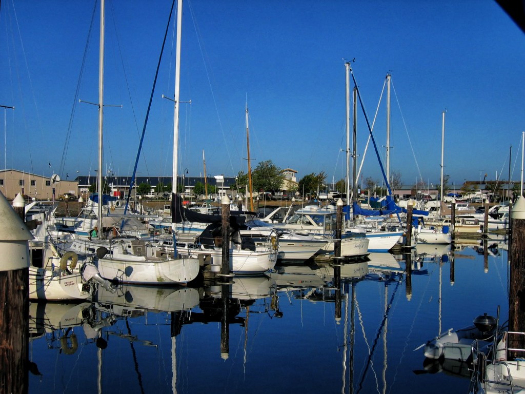 Bellingham Marina 2