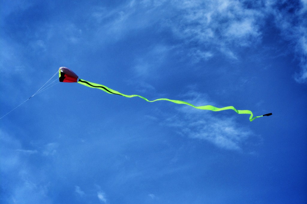 Kite Flying in the San Juan Islands