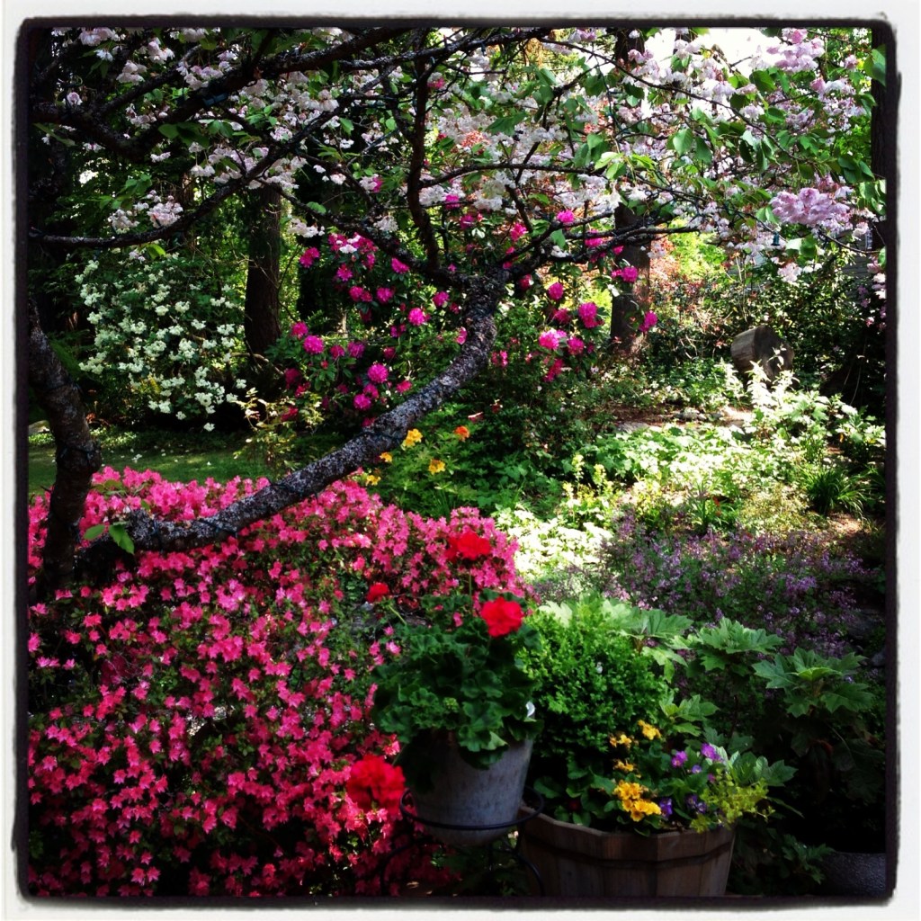 Wordless Wednesday 5-29-13