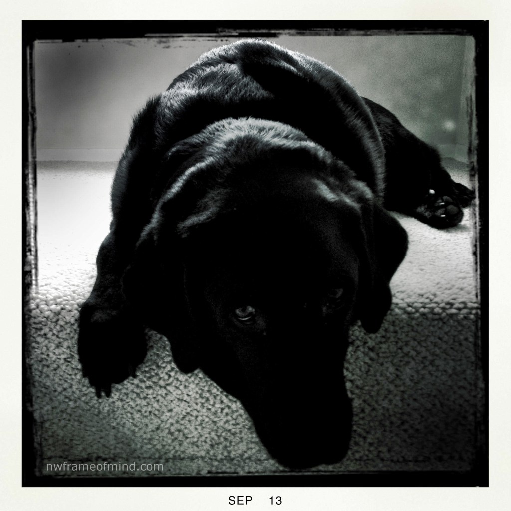 B&W Tuesday 1 9-17-13 2