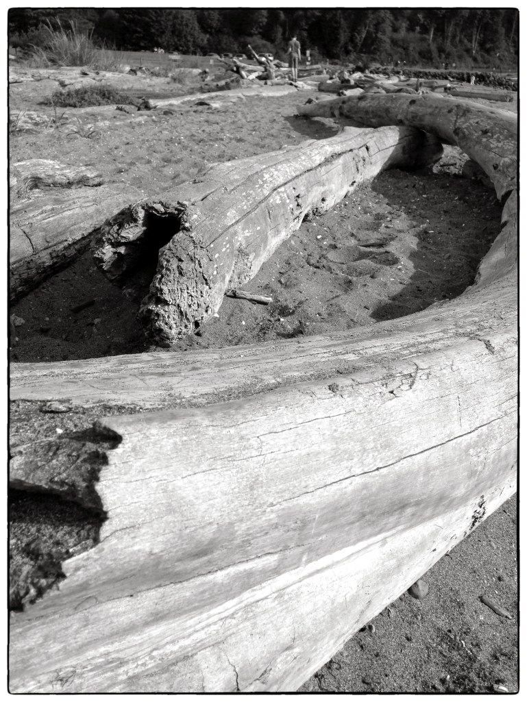 B&W Tuesday 1 9-3-13