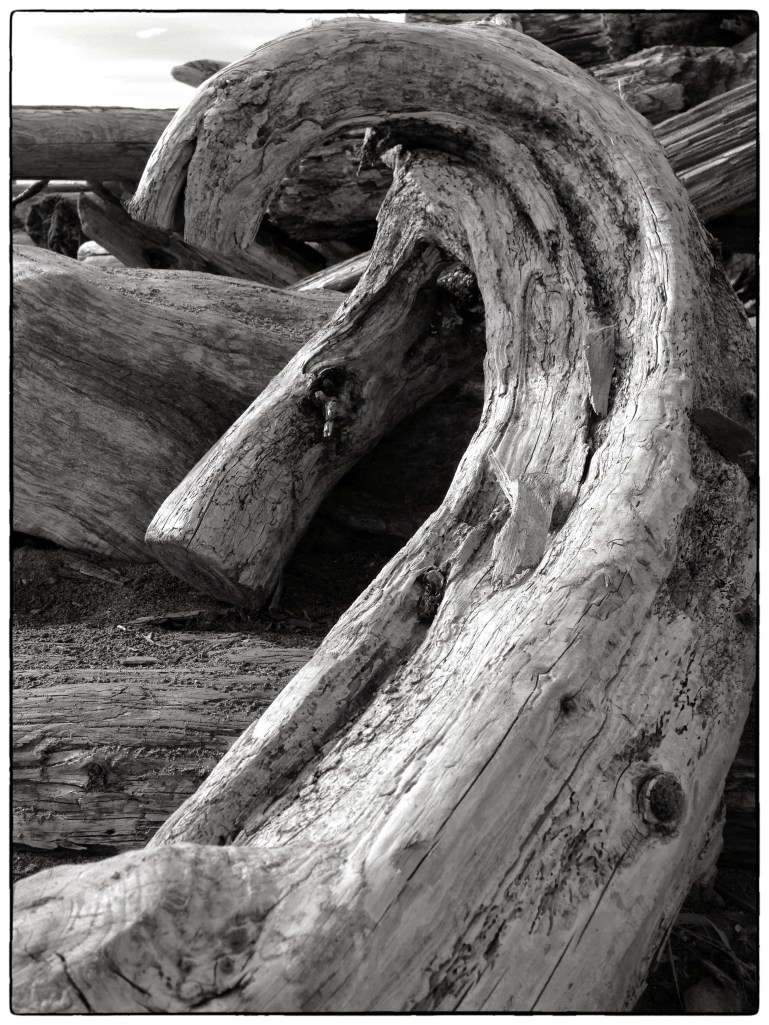 B&W Tuesday 2 9-3-13