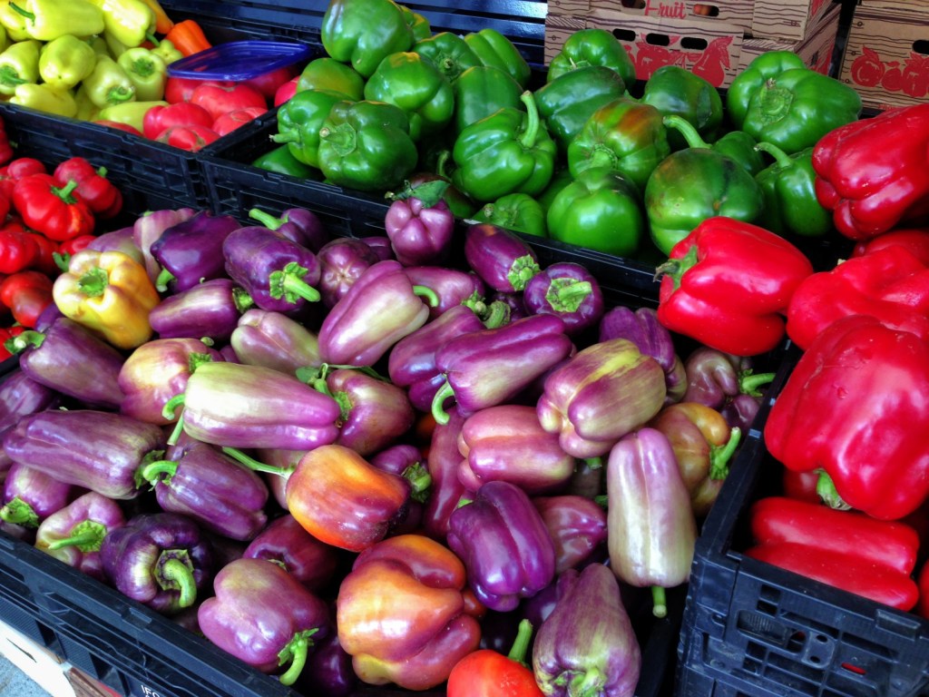 Travel Theme:  Multicoloured