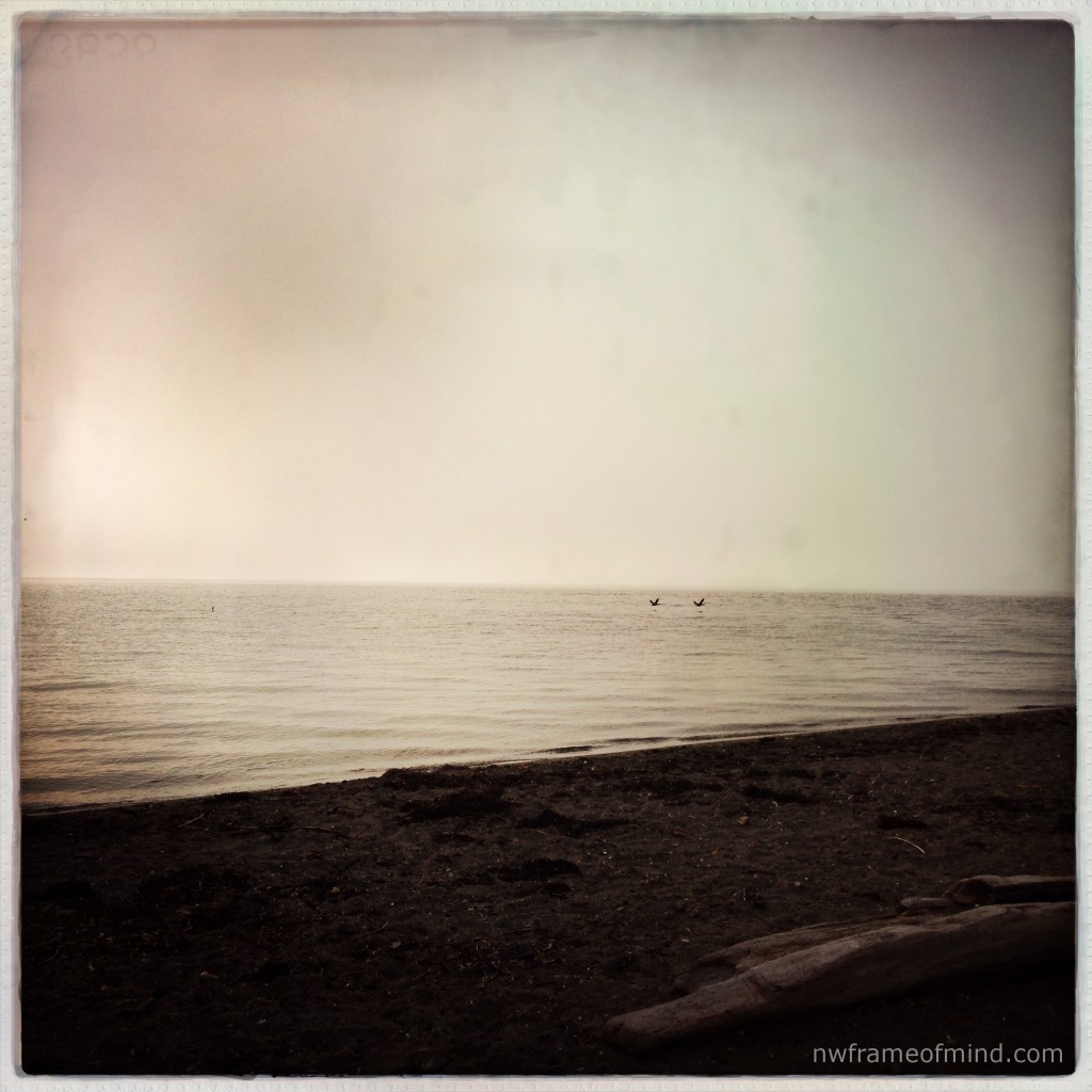 iPhone Monday 2 10-21-13