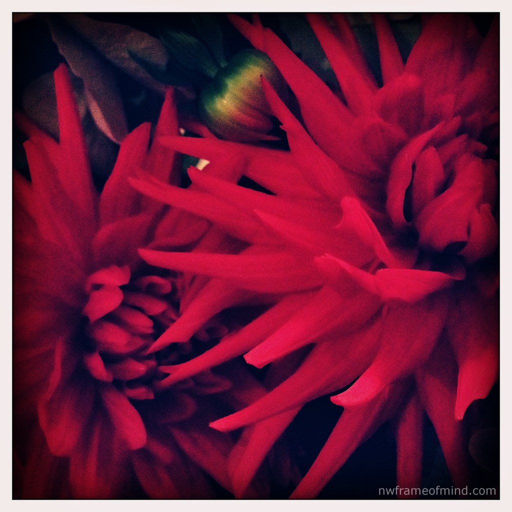 iPhoneography Monday 2 10-14-13