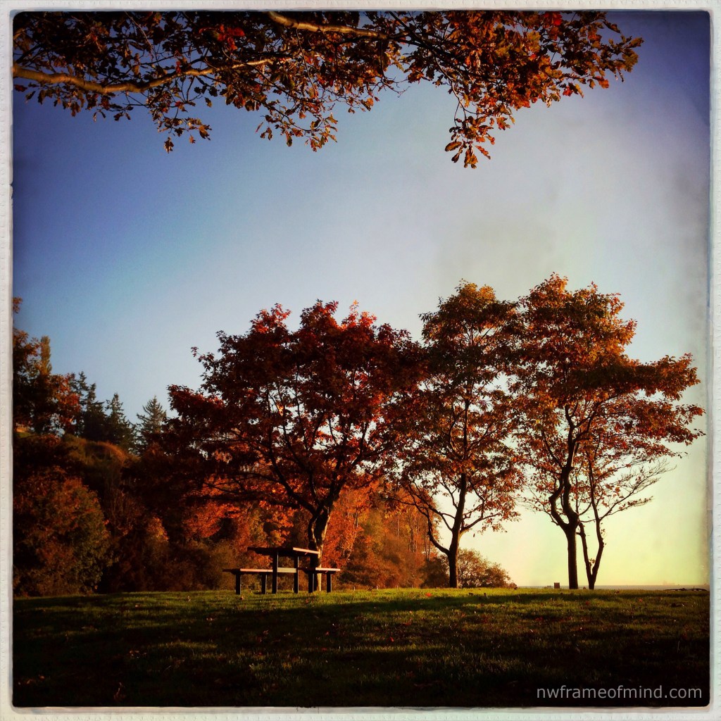 Wordless Wednesday 10-23-13