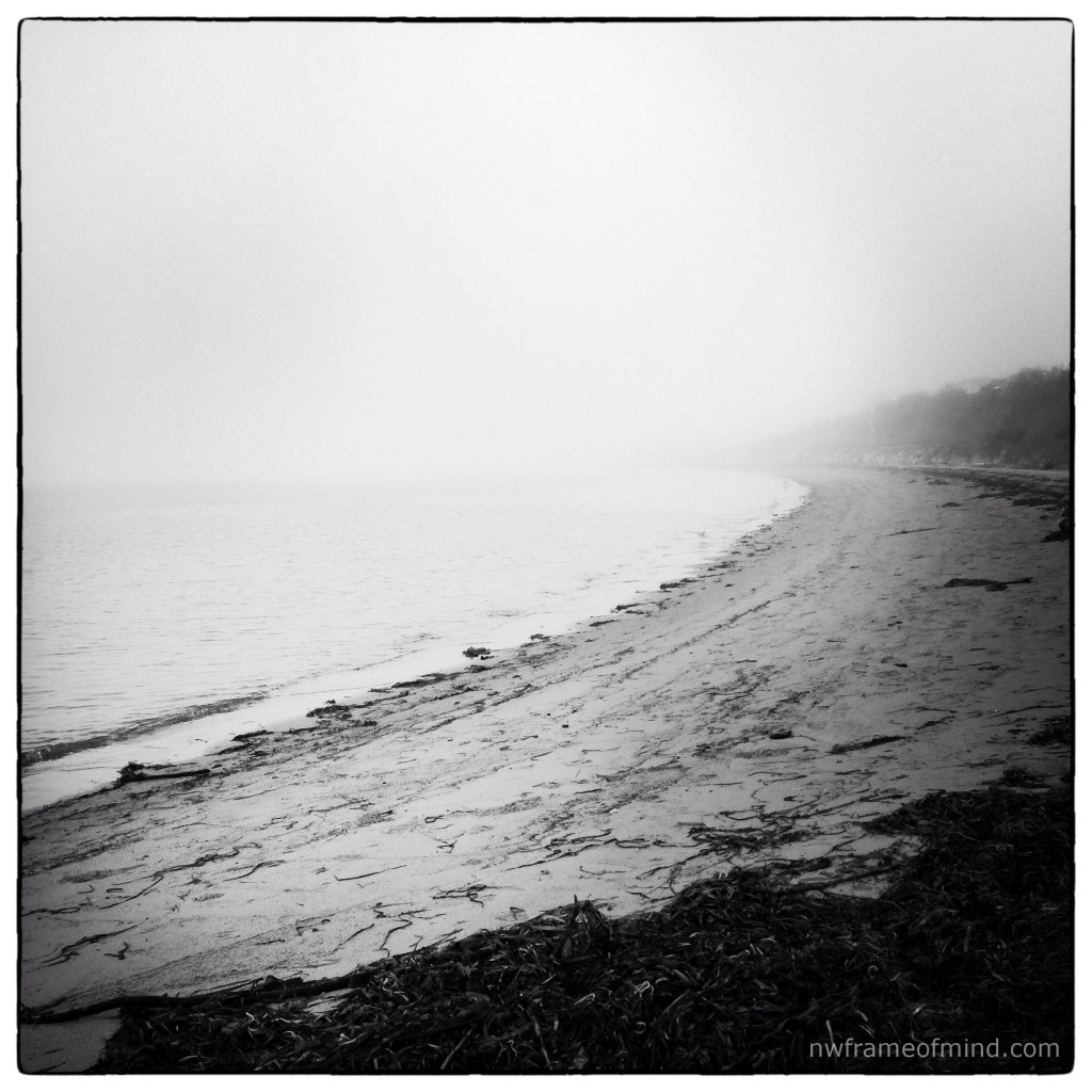 B&W Tuesday 11-12-13