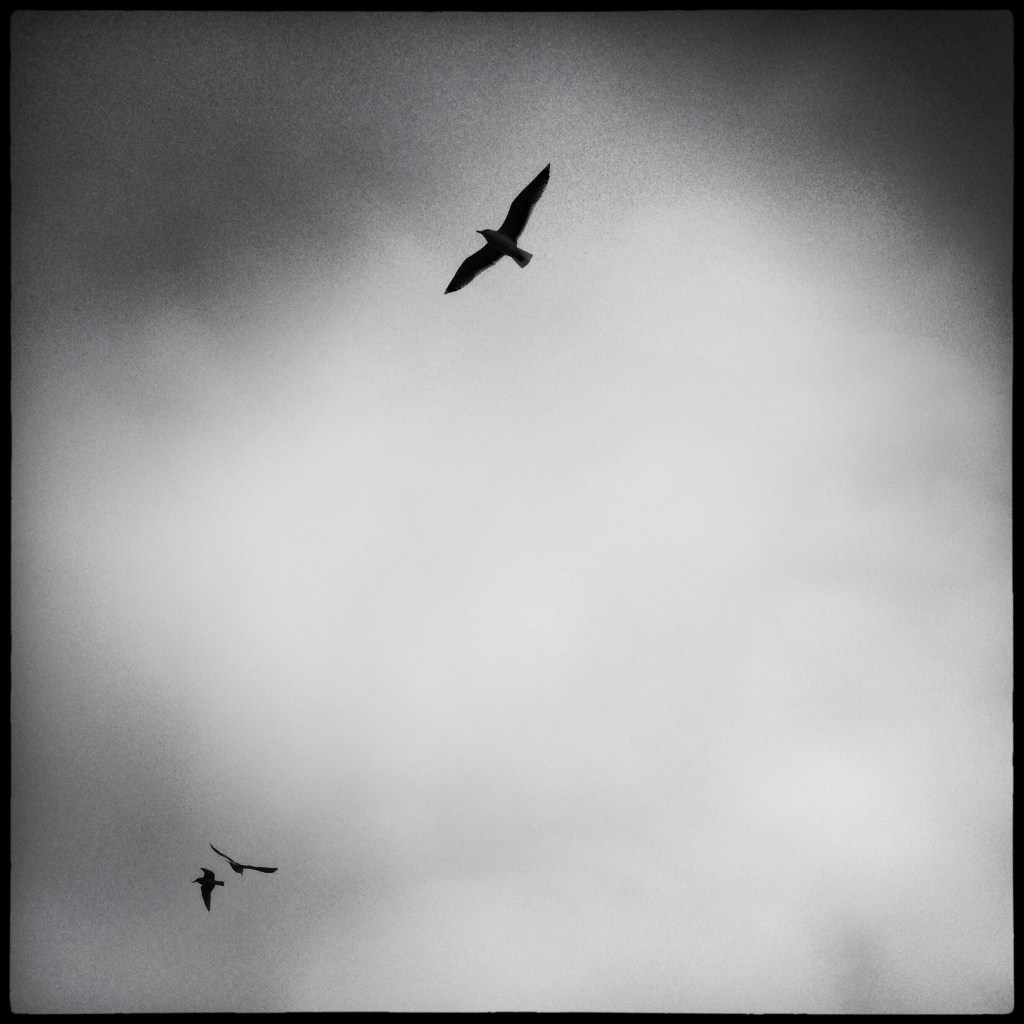 B&W Tuesday 11-19-13