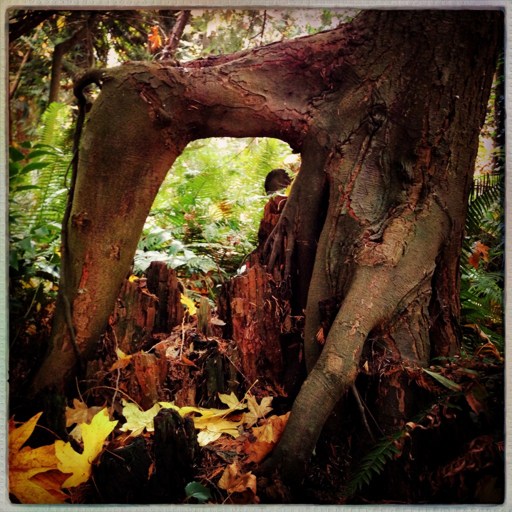 Wordless Wednesday 1-1-14