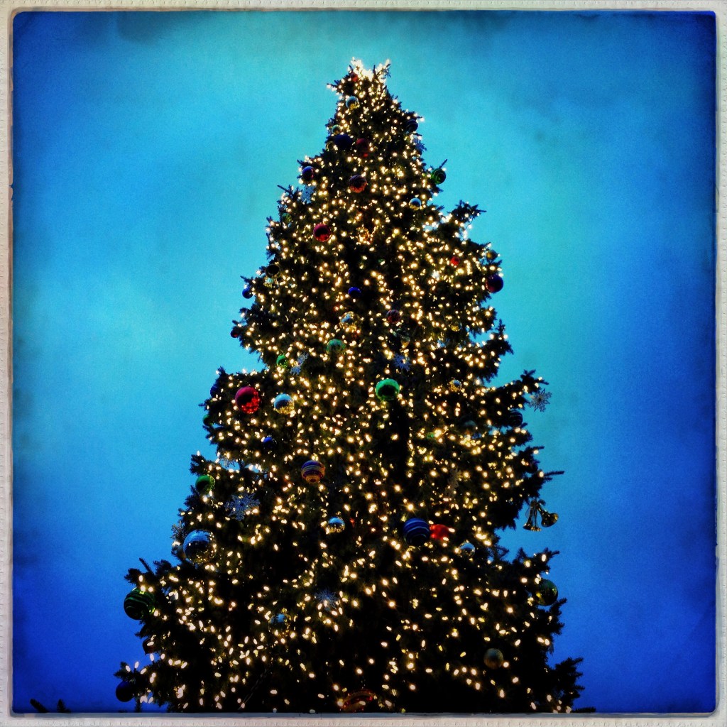 Wordless Wednesday 12-25-13