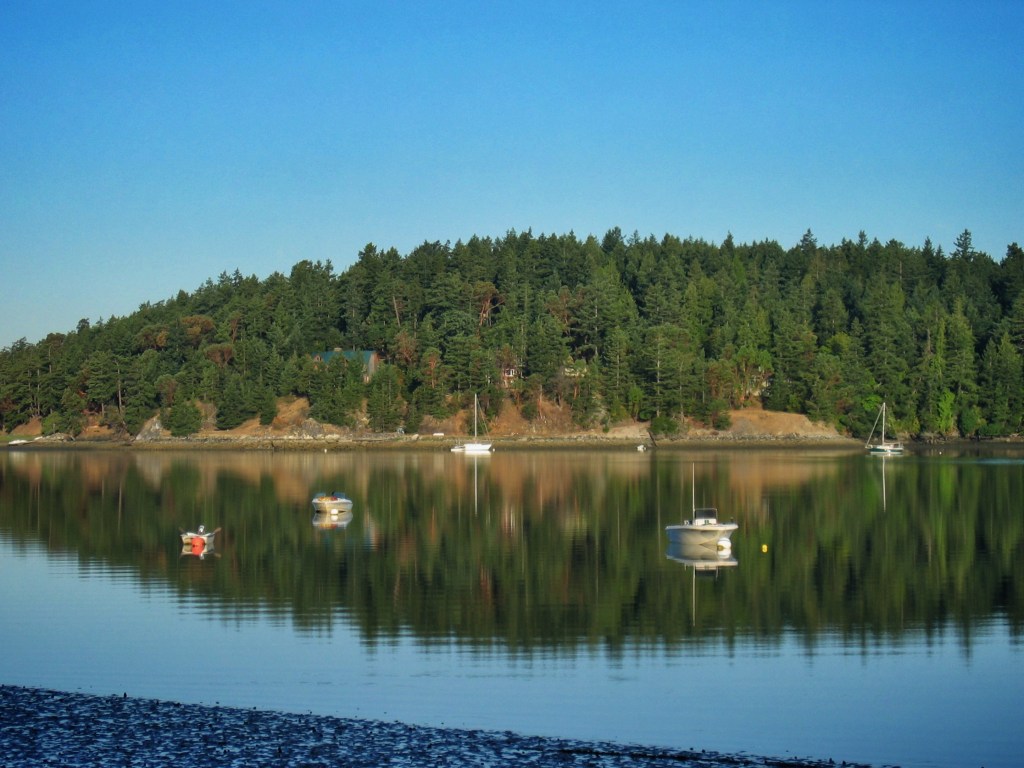 Wordless Wednesday 2-19-14