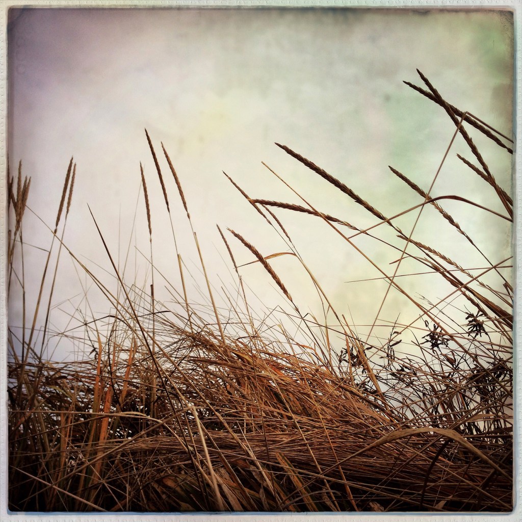 Wordless Wednesday 2-26-14