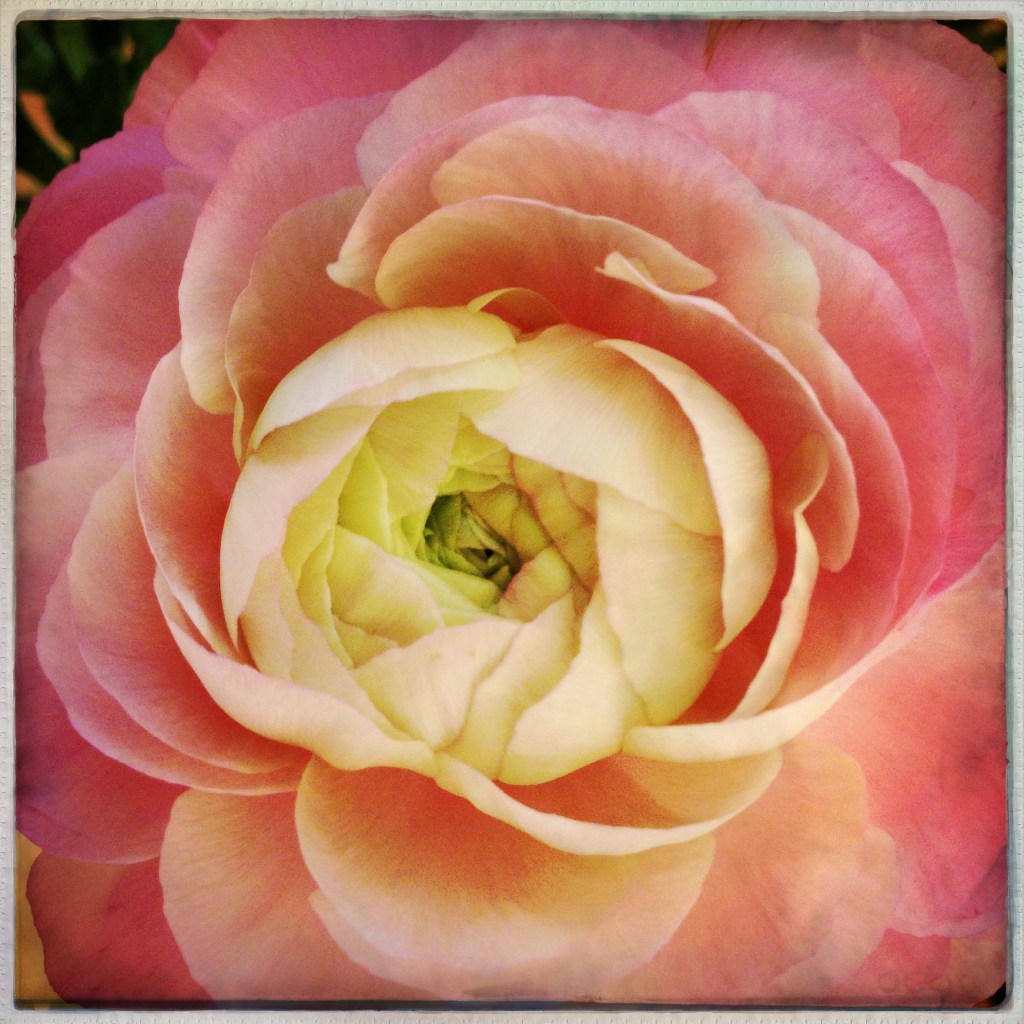 iPhone Monday 3-10-14