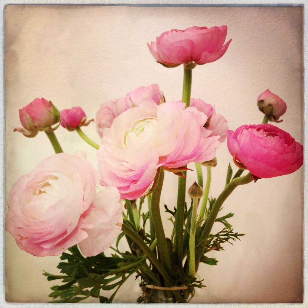 iPhone Monday 3-3-14