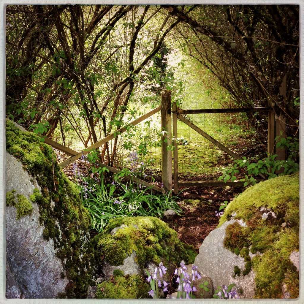 Wordless Wednesday 4-23-14