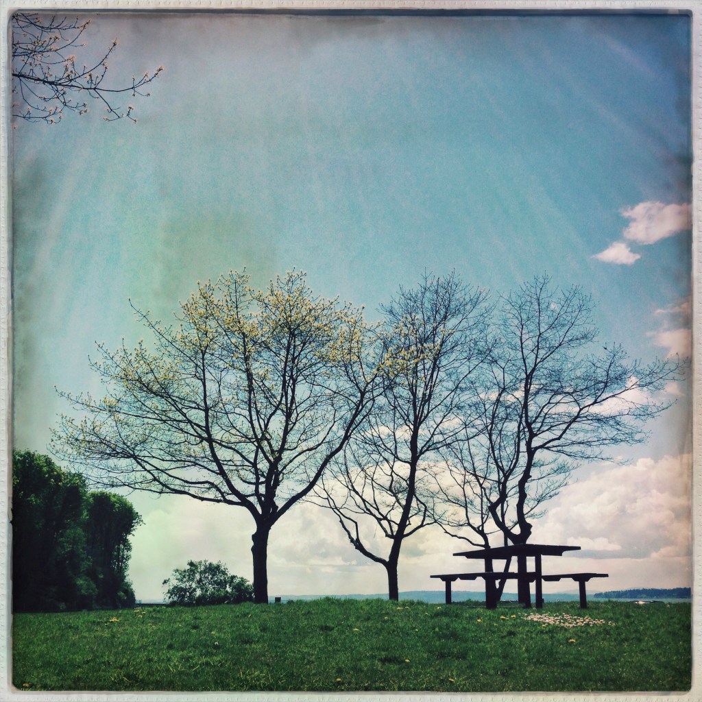 iPhoneography Monday:  5-5-14