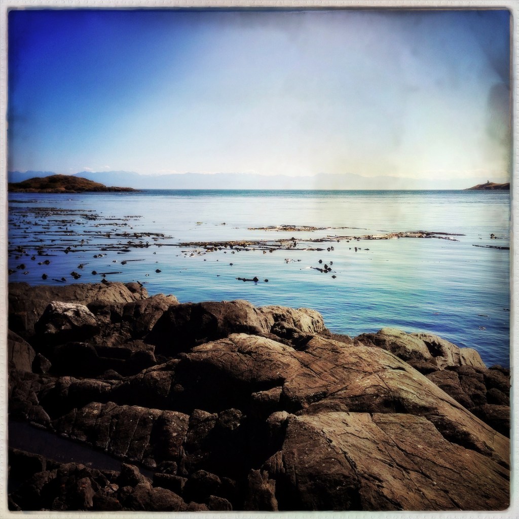 Wordless Wednesday 7-16-14