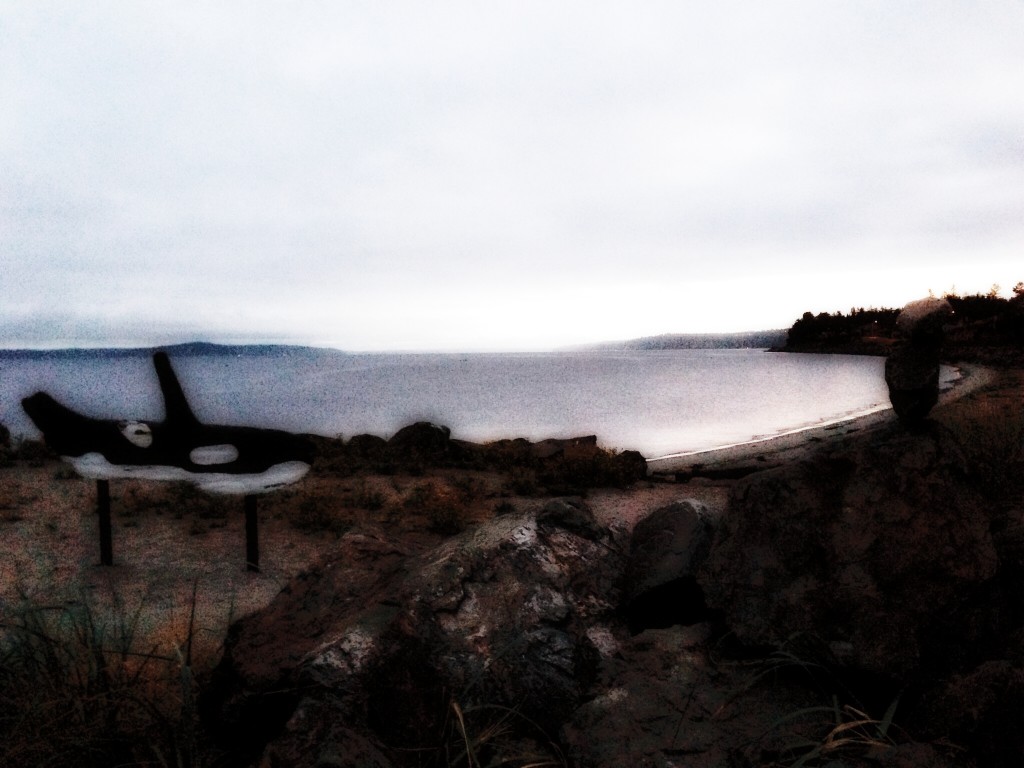 1 Day 1 World Project:  5:00 am – 6:00&nbsp;am