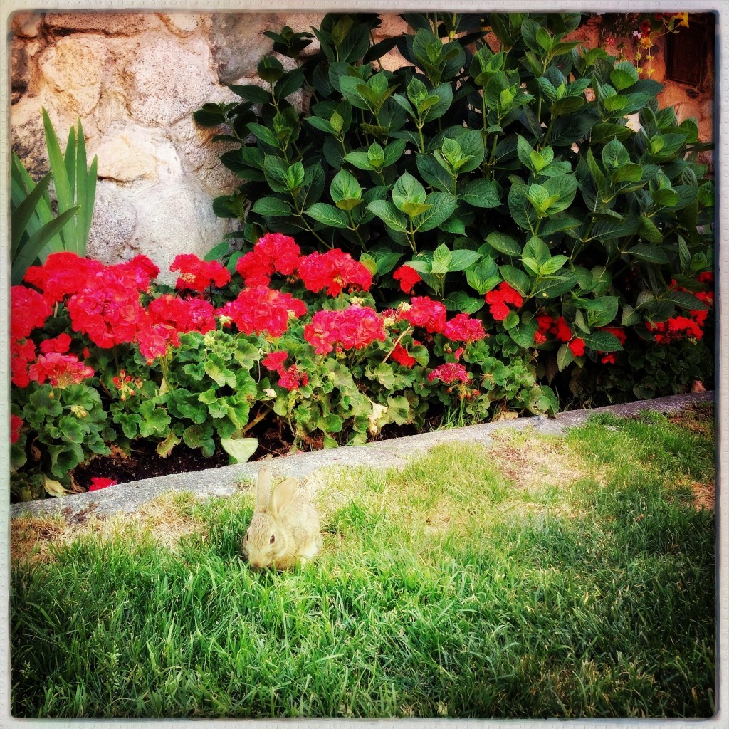 iPhone Monday 8-25-14