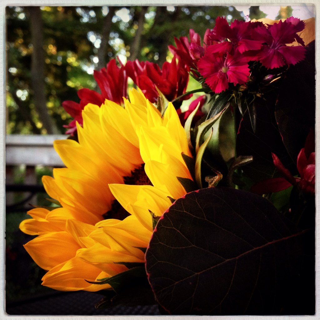 iPhone Monday 9-22-14