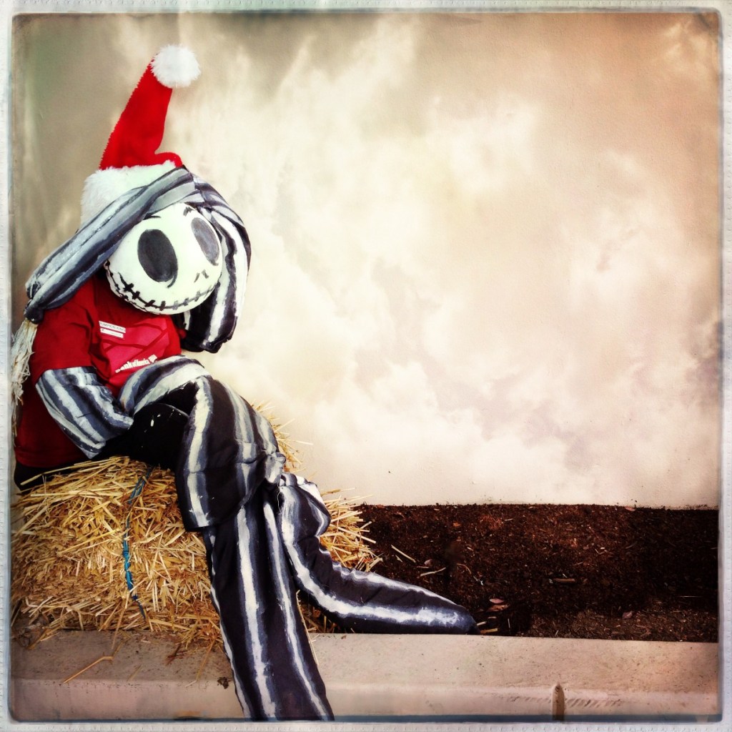 iPhoneography Monday:  10-27-14