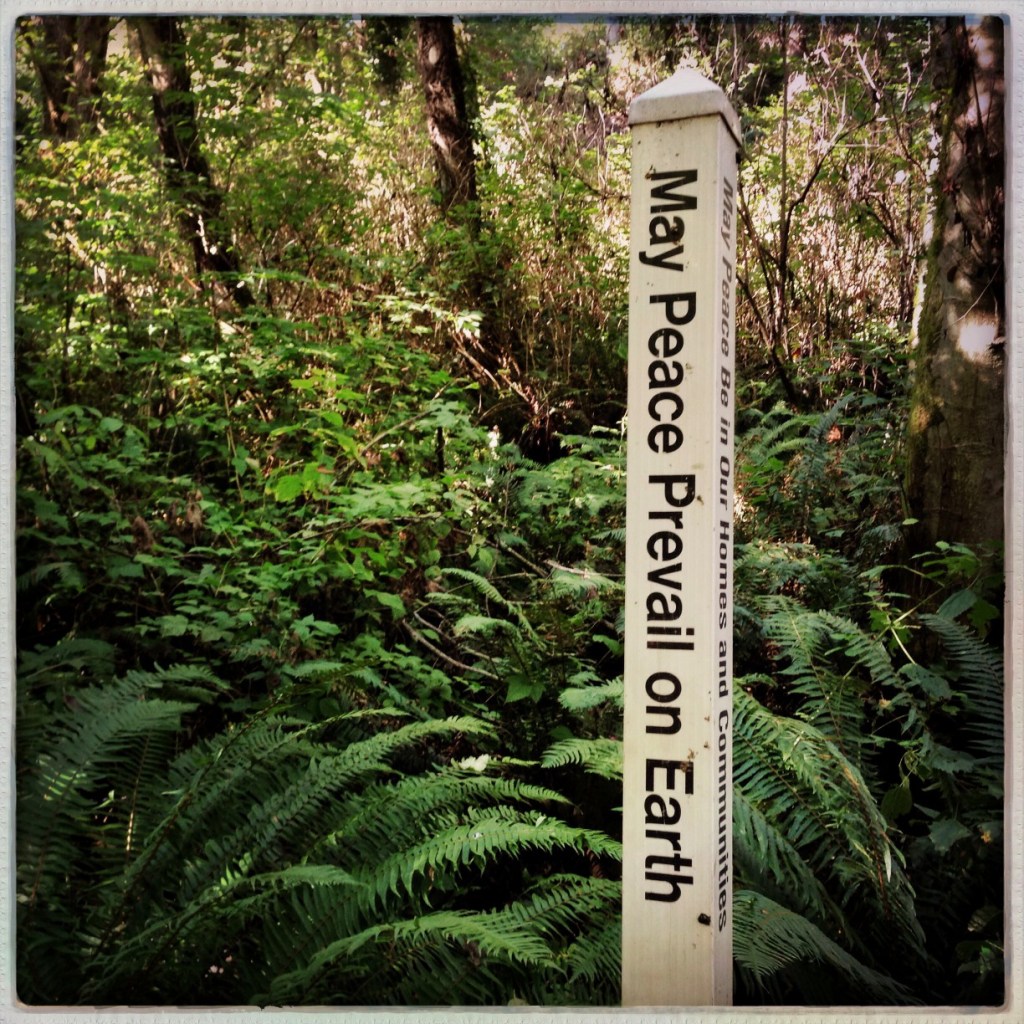 Wordless Wednesday: 10-1-14