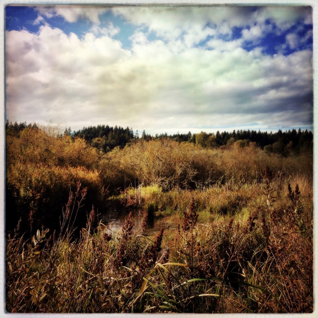 Wordless Wednesday:  10-22-14