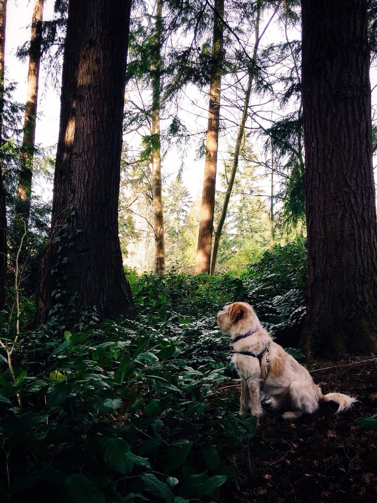 Processed with VSCOcam with c3 preset