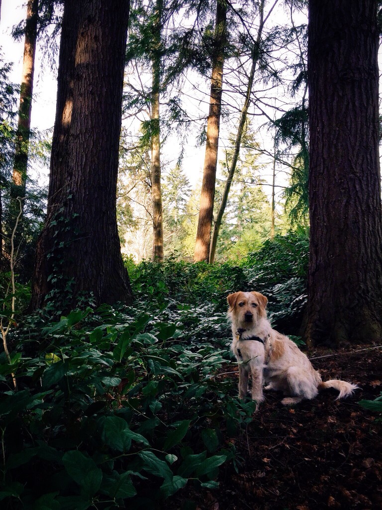 Processed with VSCOcam with c3 preset