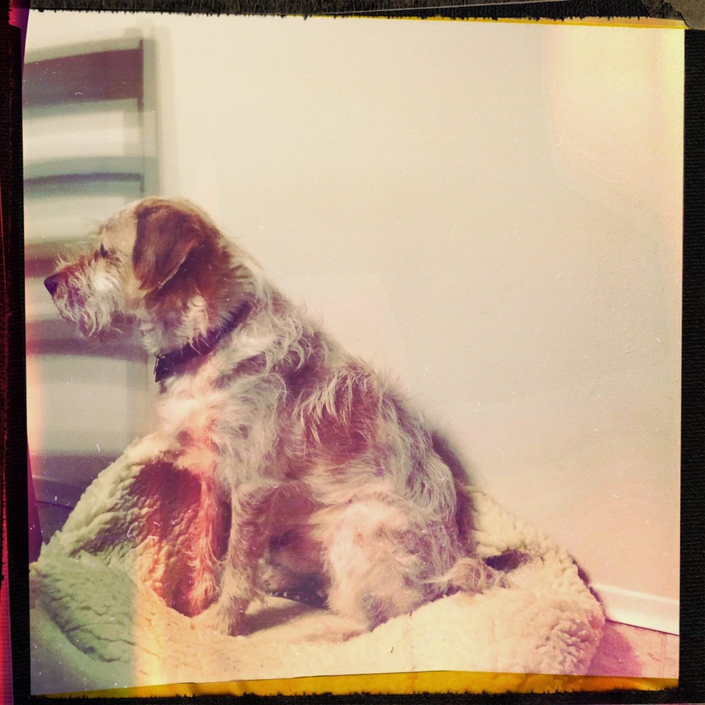 iPhone Monday 1 2-23-15