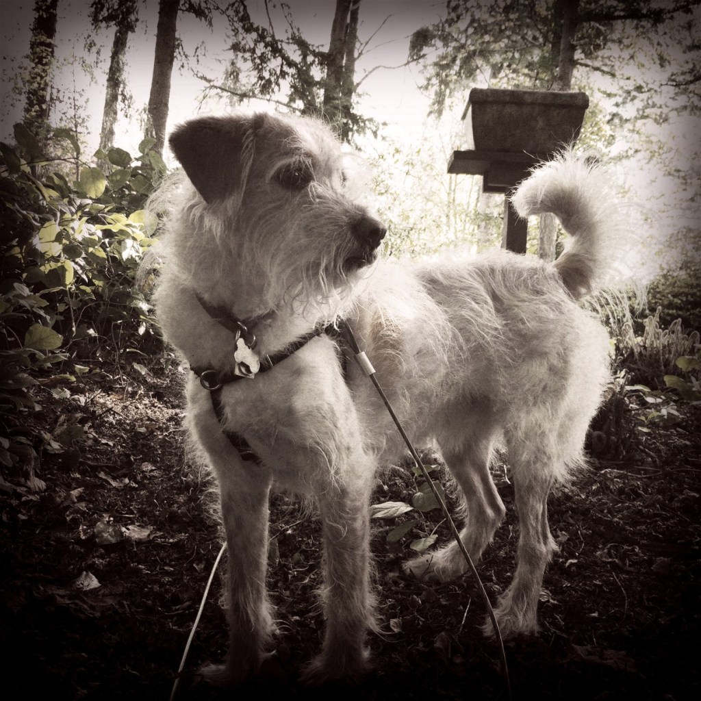 A Surprise Every Day:  Shaking Up April with Hipstamatic (week&nbsp;3)