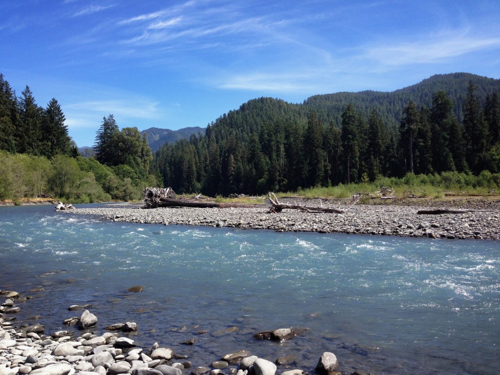 Weekly Photo Challenge:  Motion (Sounds of the Hoh&nbsp;River)