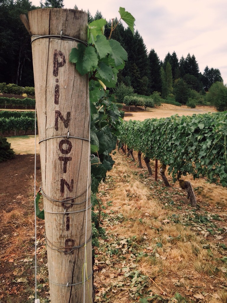 wordless-wednesday-7-29-e1438185369805