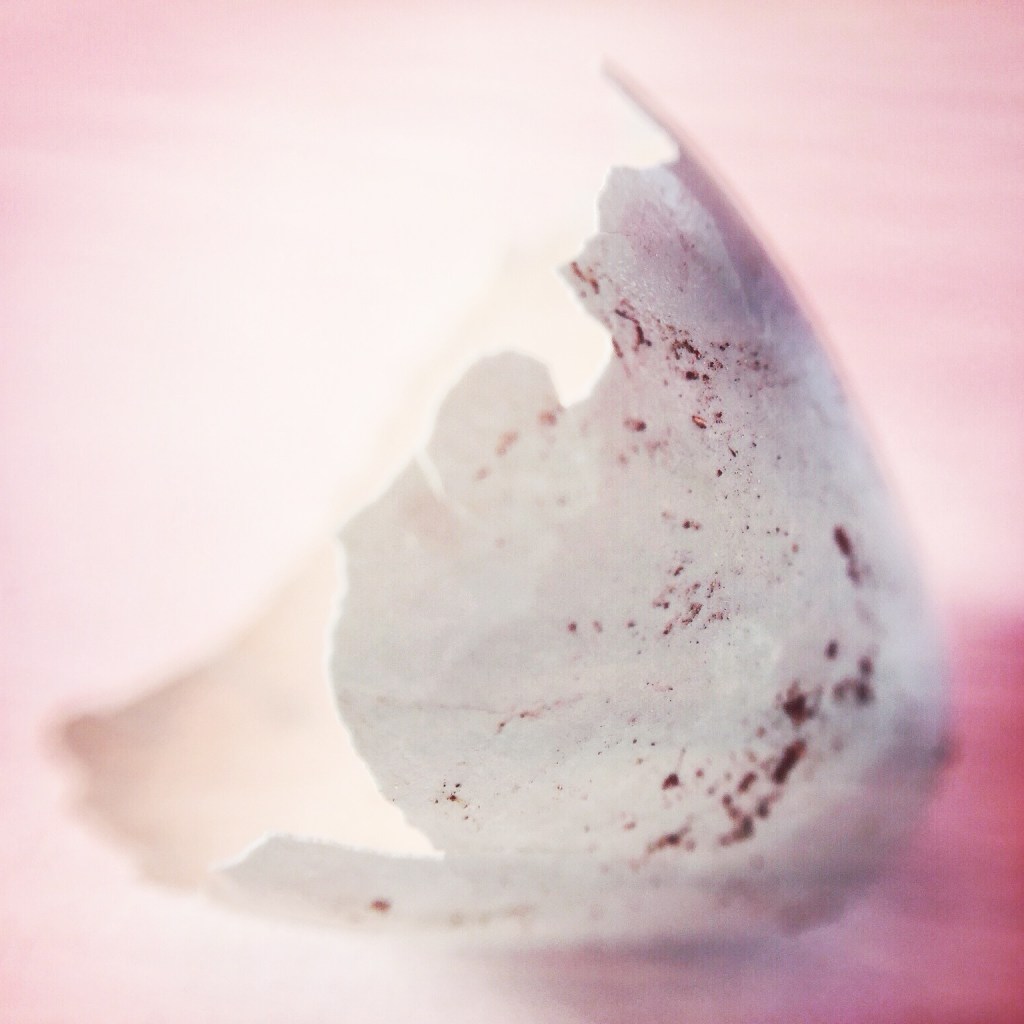 Sally D’s Mobile Photography Challenge:  Macro (Robin’s Egg&nbsp;Blue)