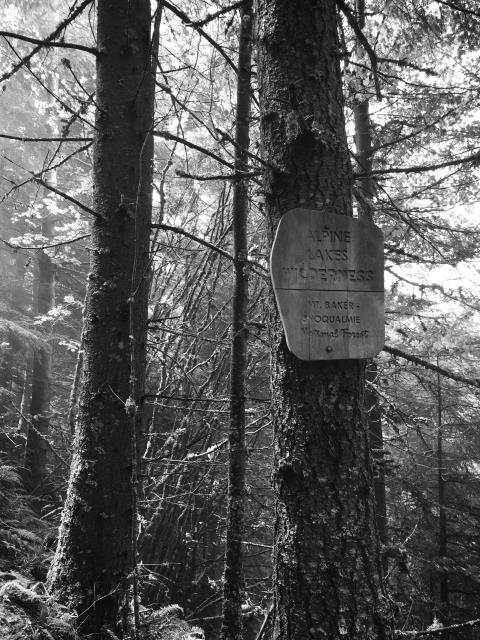 iPhone Tuesday 10-20