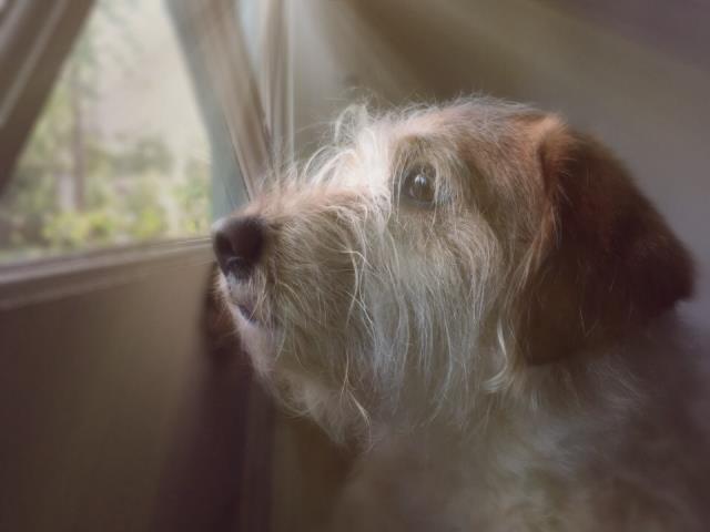 My Year In Pictures:  March Week&nbsp;3