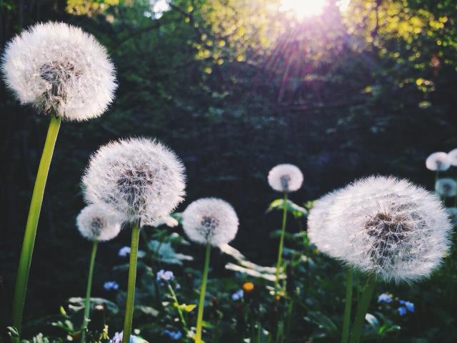 My Year In Pictures:  April Week&nbsp;3