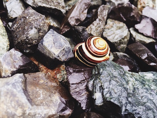 My Year In Photos:  June Week&nbsp;3