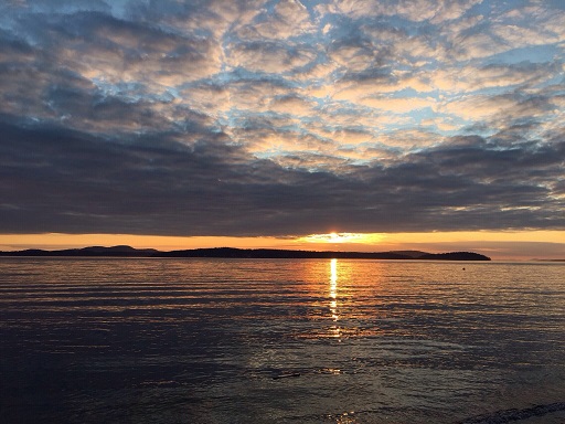 My Year In Pictures:  July Week&nbsp;4