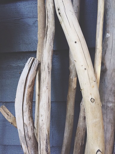 My Year In Pictures:  August Week&nbsp;1