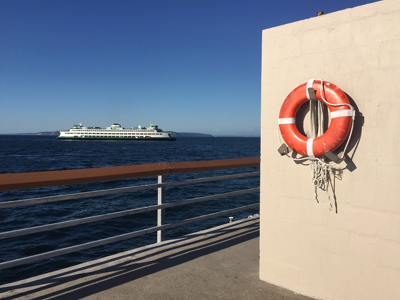 My Year In Pictures:  September Week&nbsp;2