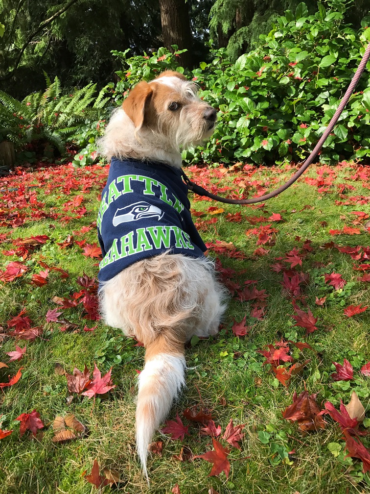 My Year In Pictures:  October Week&nbsp;4