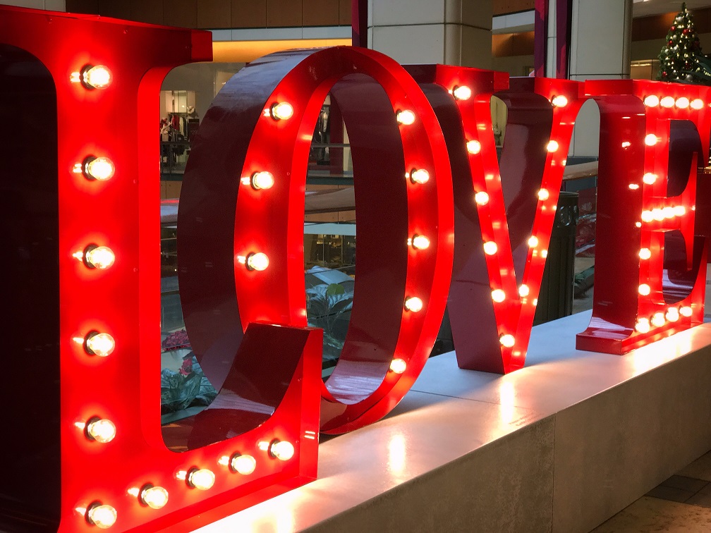 My Year In Pictures:  December Week&nbsp;3