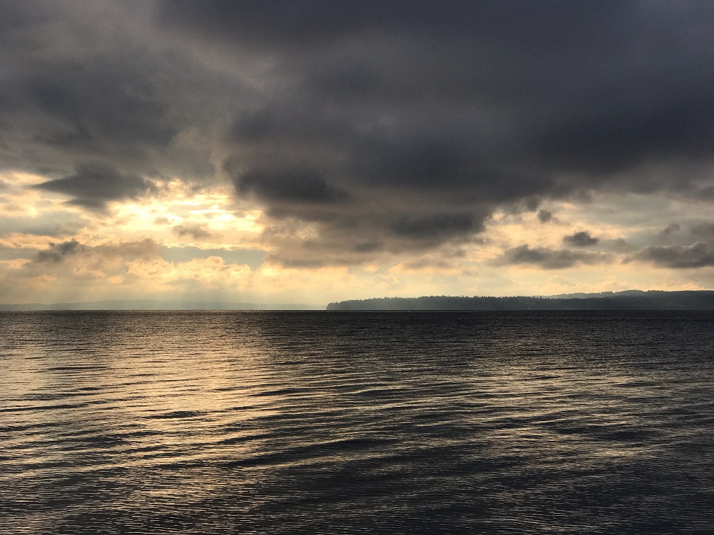 My Year In Pictures:  January Week&nbsp;1