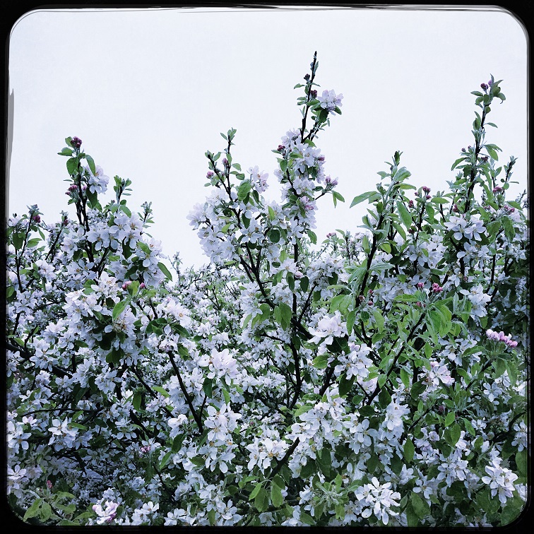 Shades of Blue: Part&nbsp;2