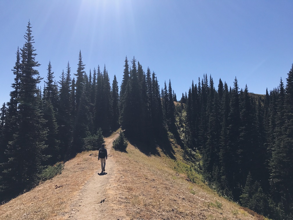 Hiking the Klahhane Ridge Trail in Olympic National Park