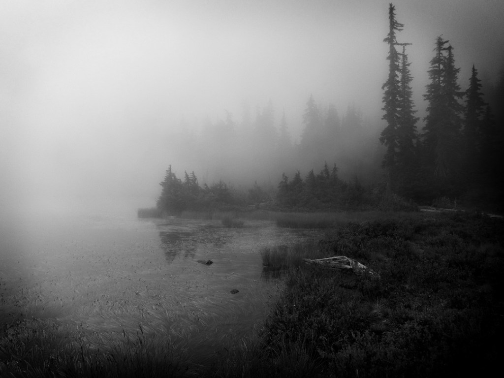 Pacific Northwest Mountain Lake in Fog 