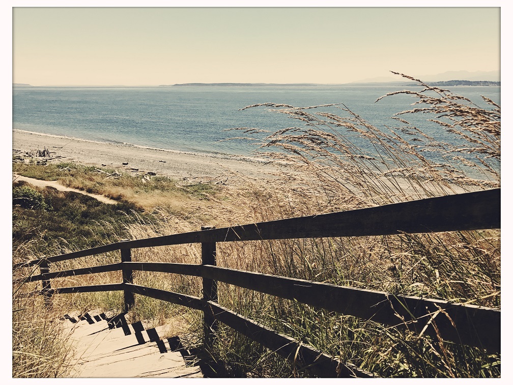 Summer is the Annual Permission&nbsp;Slip…