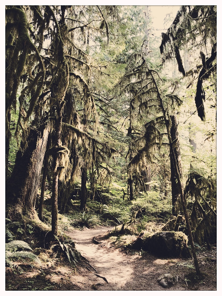 We Will Welcome Summer’s&nbsp;Ghost