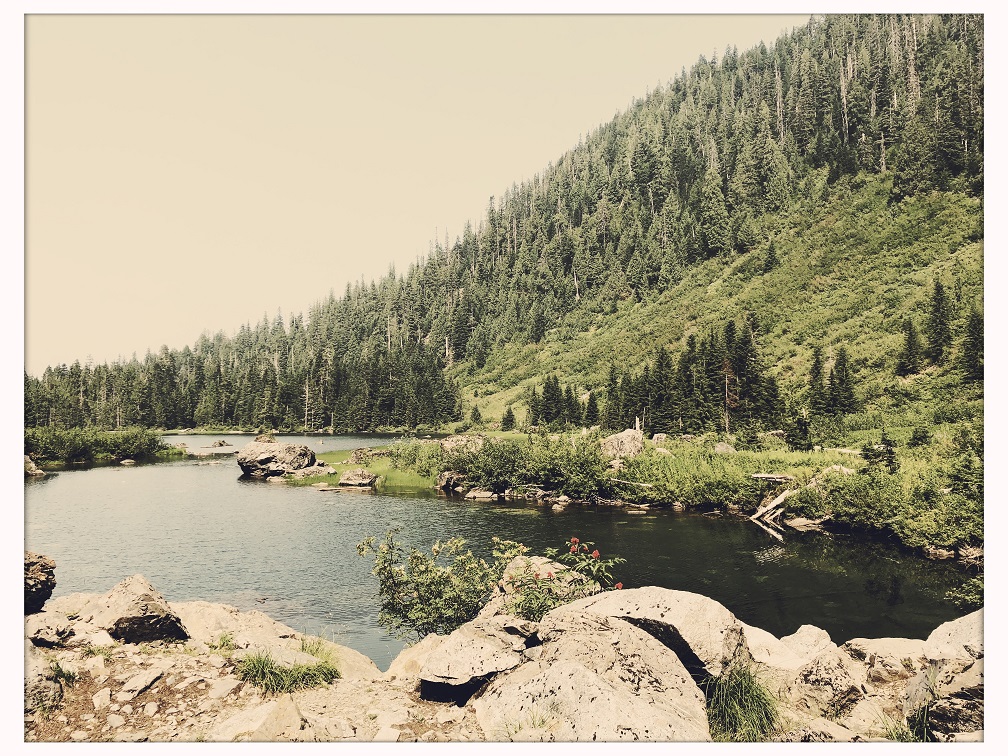 The Scent of a Lake in the&nbsp;Mountains